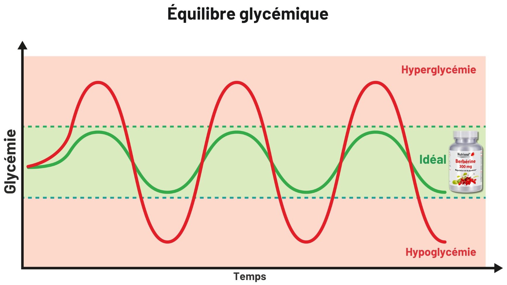 La berbérine contribue l'équilibre glycémique 